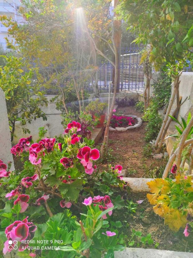 Rigos House At Askeli Beach, Poros Island Villa Poros Town Exterior foto